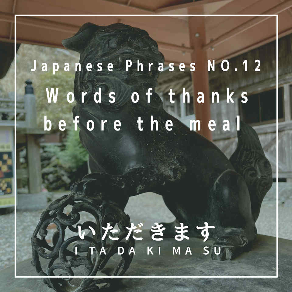 Words of thanks before the meal いただきます (Japanese Phrases No. 12)