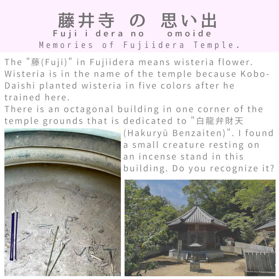 Memories of Fujiidera Temple -ふじいでらのおもいで