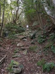 Auf dem Weg zu Tempel 37 Iwamotoji