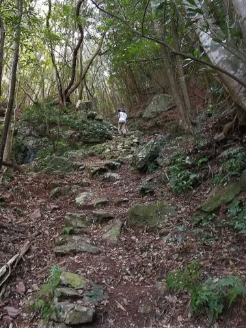 Auf dem Weg zu Tempel 37 Iwamotoji