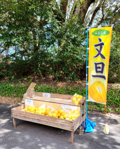 buntan ブンタン - im Straßenverkauf buntan ブンタン - im Straßenverkauf