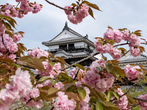 Burg Matsuyama (松山城)