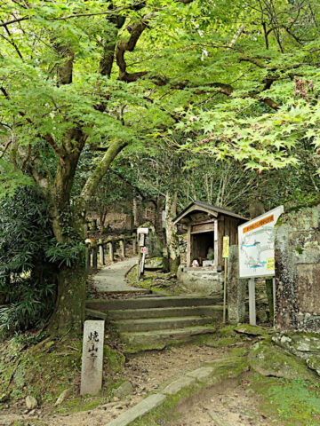 henro korogashi to temple 12, at the beginning at temple 11