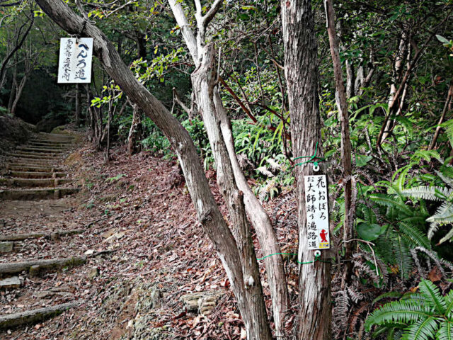 henro korogashi to temple 12, on the way