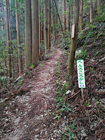 henro korogashi to temple 12, the last subsection
