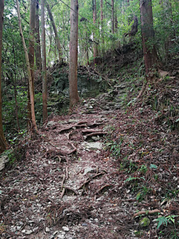 henro korogashi to temple 12, in the last subsection